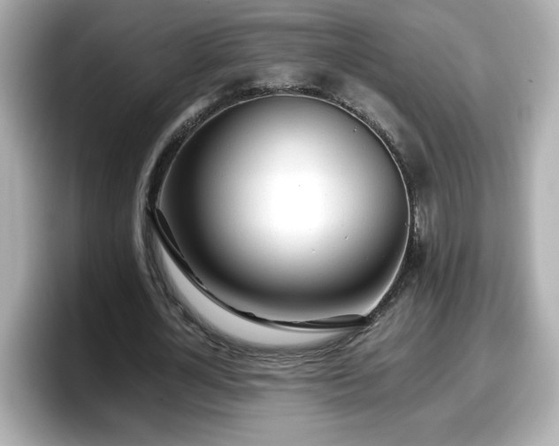 X0000098120724200804111114