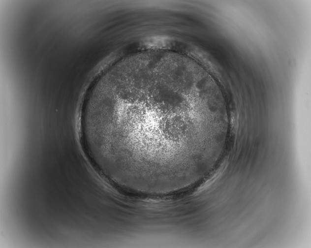 X0000098120725200804111114