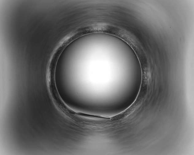 X0000098120726200804111114