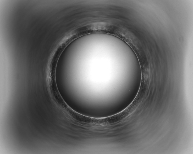 X0000098120727200804111114