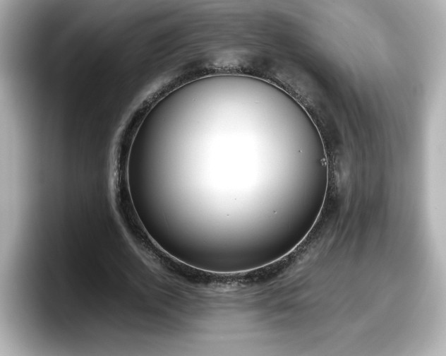 X0000098120728200804111114