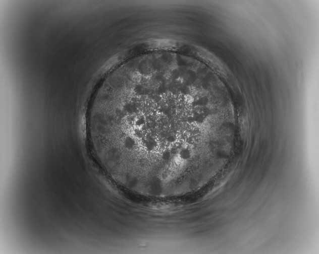 X0000098120729200804111114