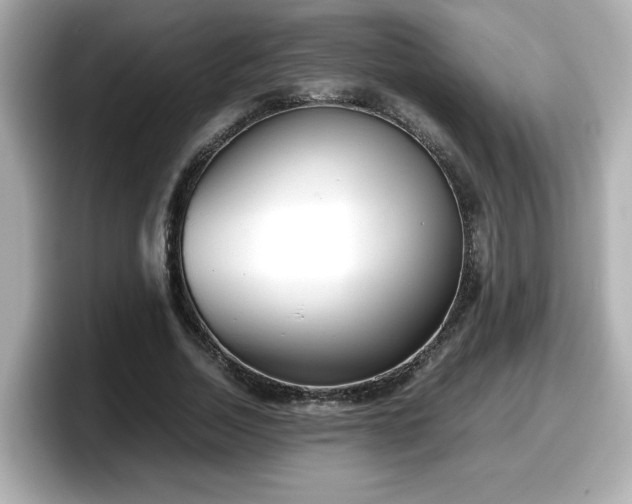 X0000098120730200804111114