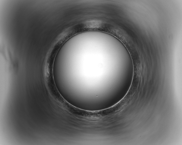 X0000098120731200804111114