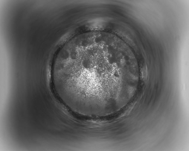 X0000098120733200804111114