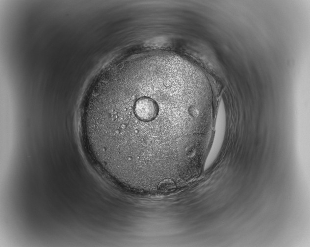 X0000098120734200804111115