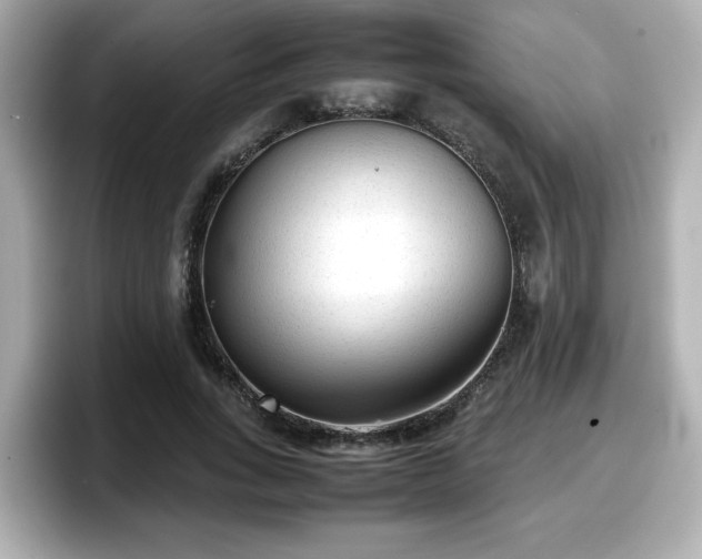 X0000098120735200804111115