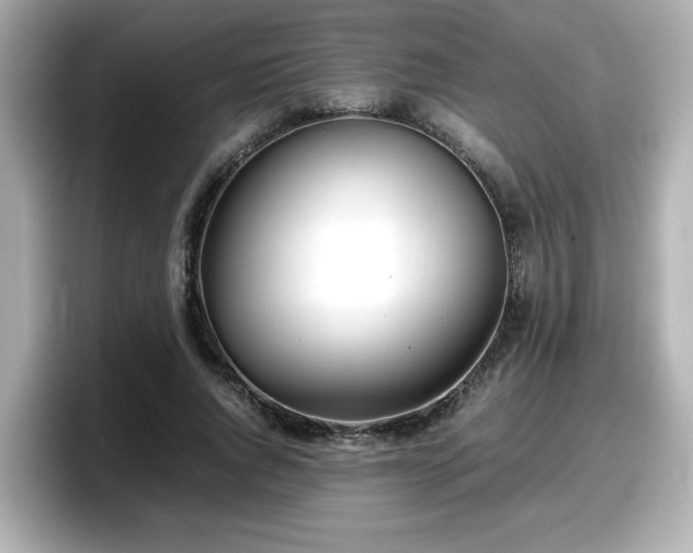 X0000098120736200804111115