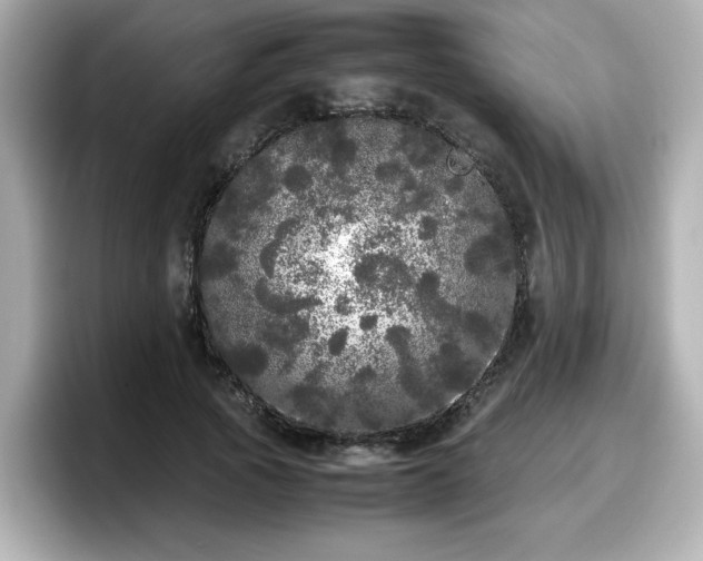 X0000098120737200804111115