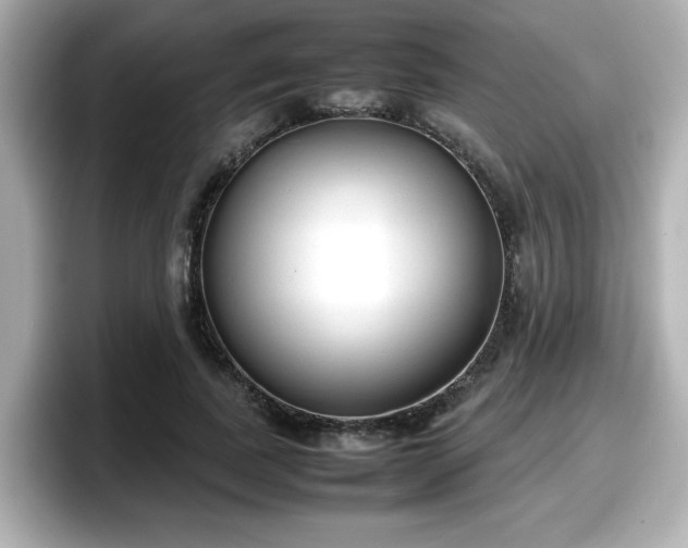 X0000098120739200804111115
