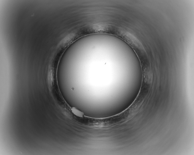 X0000098120740200804111115