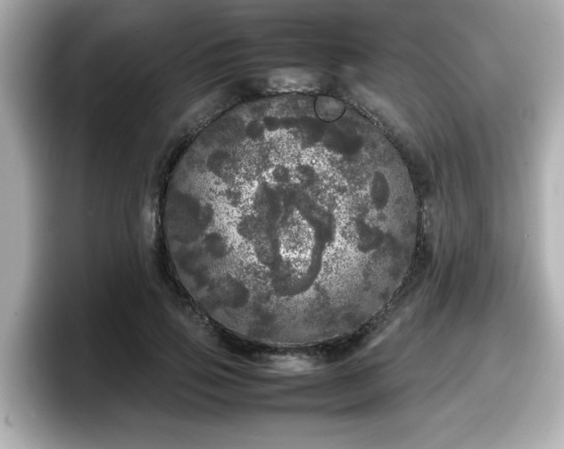 X0000098120741200804111115