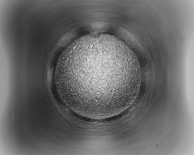 X0000098120742200804111115