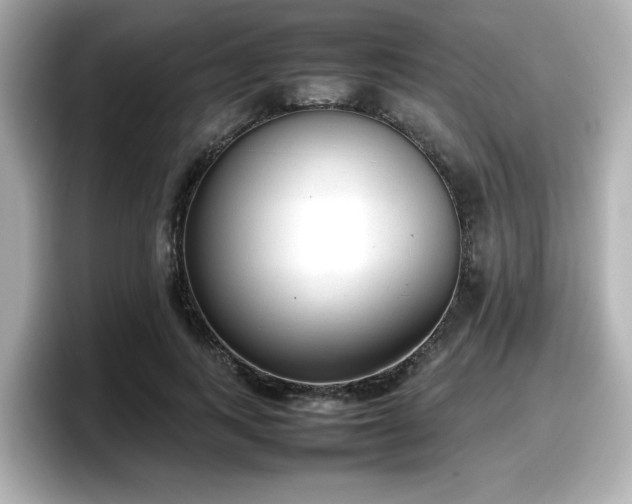 X0000098120743200804111115