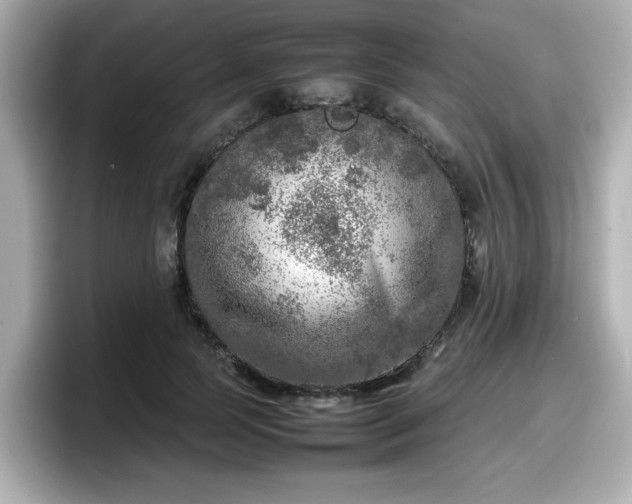 X0000098120745200804111115