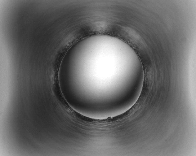 X0000098120750200804111115