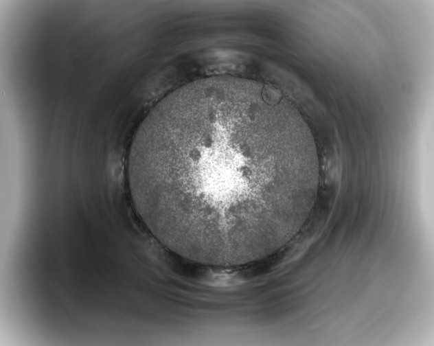 X0000098120753200804111115