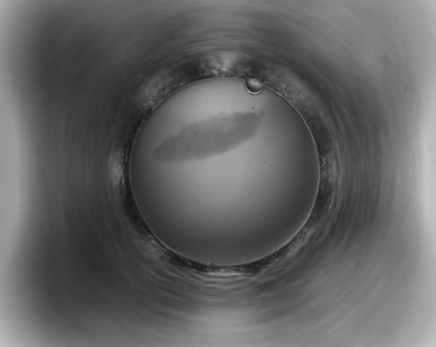 X0000098120754200804111115