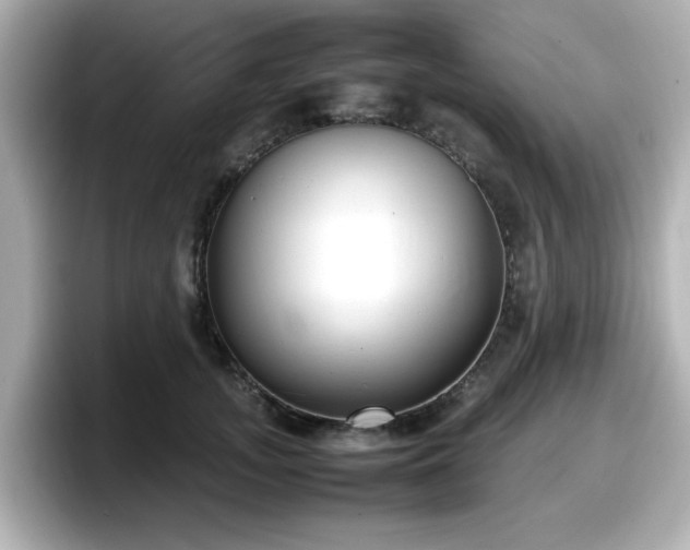 X0000098120755200804111115