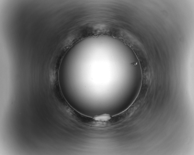 X0000098120756200804111115