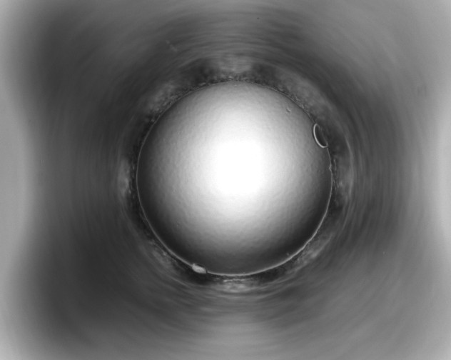 X0000098120758200804111115