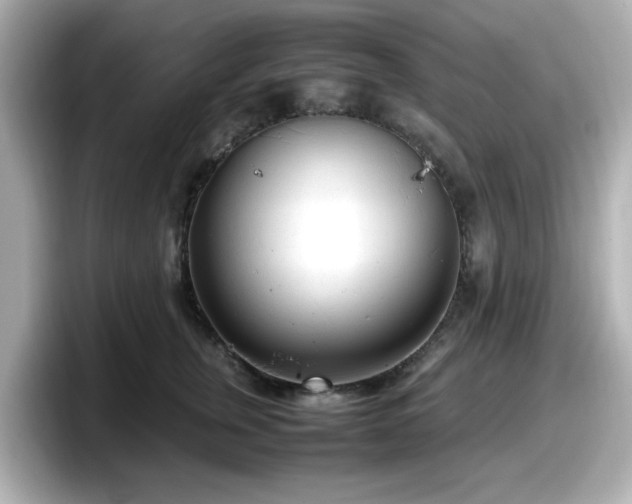 X0000098120759200804111115