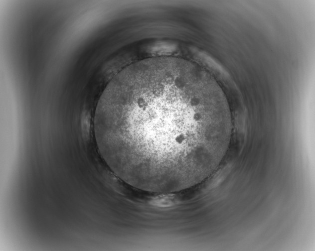 X0000098120761200804111115