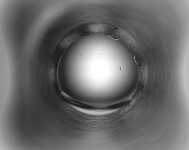 X0000098120762200804111115