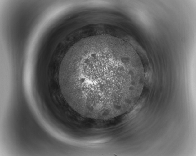 X0000098120765200804111115