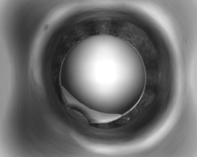 X0000098120766200804111115