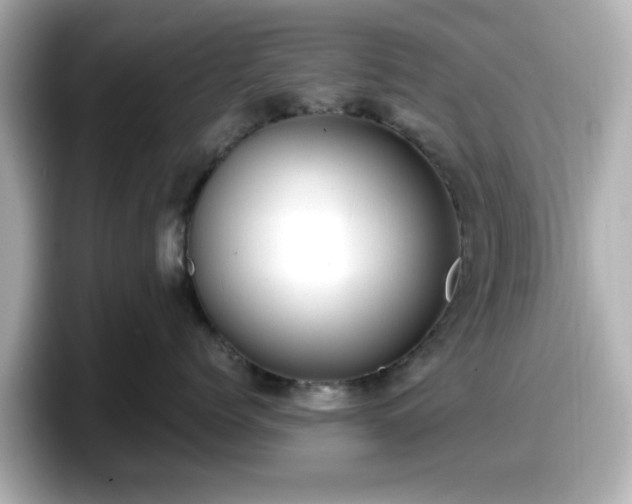 X0000098120768200804111115