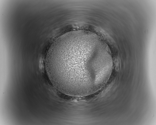 X0000098120770200804111114