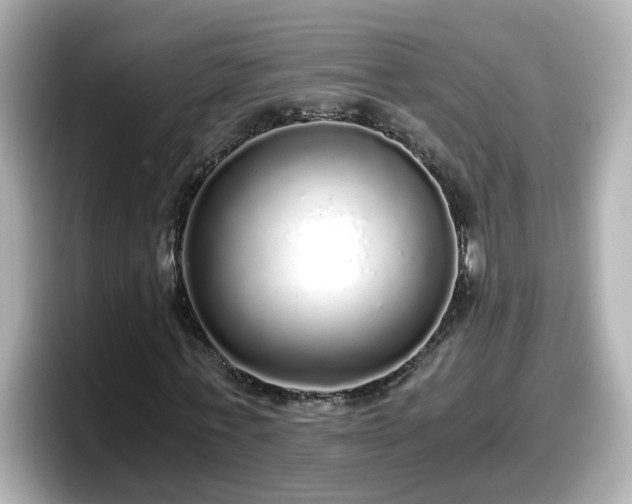 X0000098120771200804111114