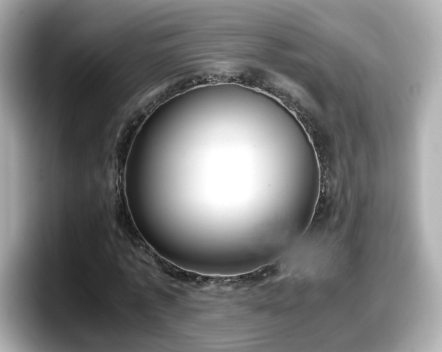 X0000098120773200804111114