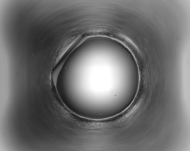 X0000098120777200804111114