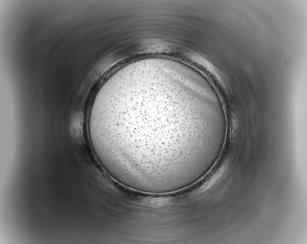 X0000098120778200804111114
