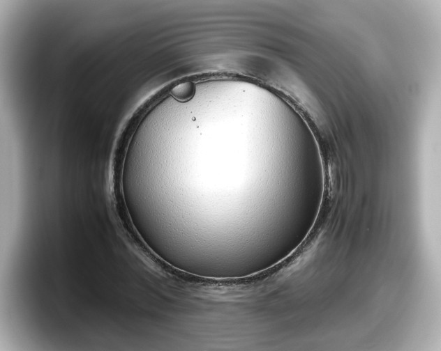 X0000098120780200804111114