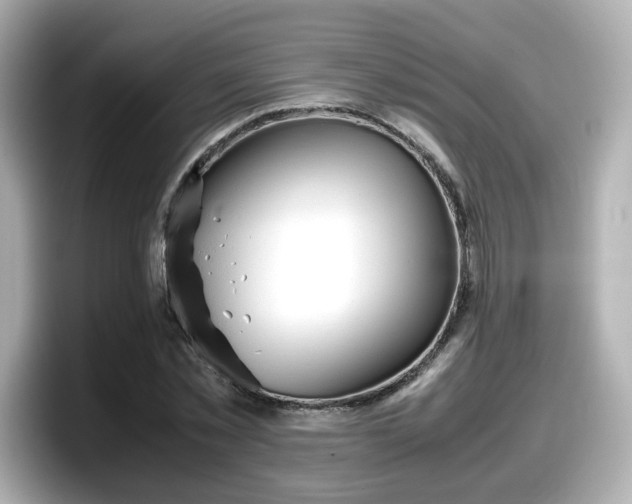 X0000098120781200804111114