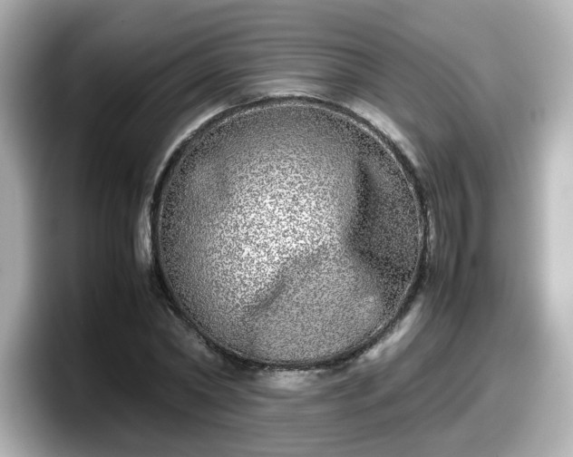 X0000098120782200804111114