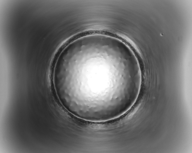 X0000098120783200804111114