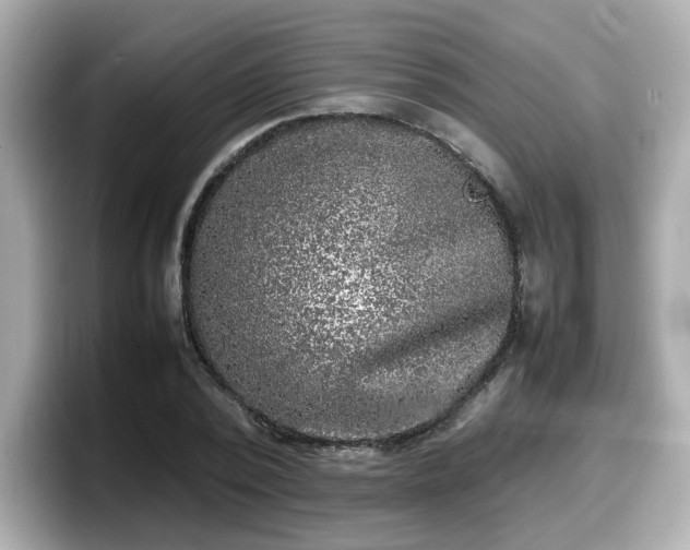 X0000098120784200804111114
