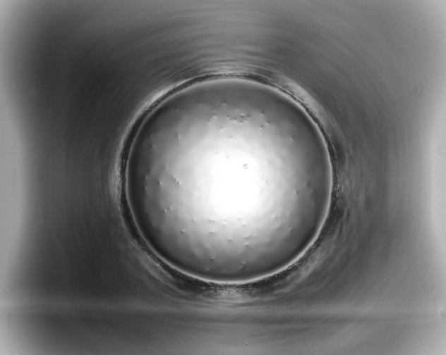X0000098120787200804111114