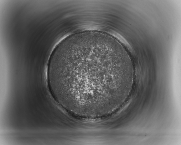 X0000098120790200804111114