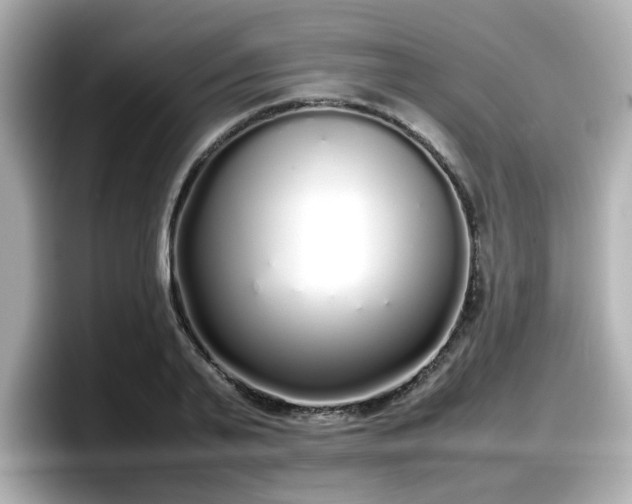 X0000098120791200804111114