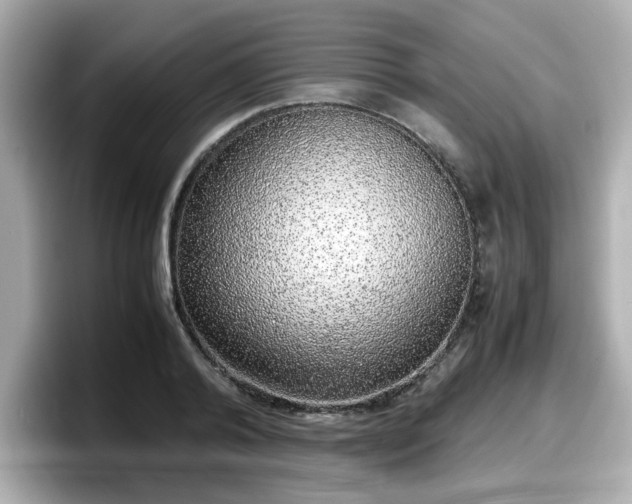 X0000098120792200804111114