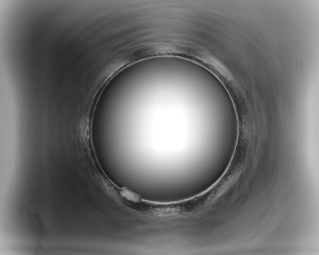 X0000098120793200804111114