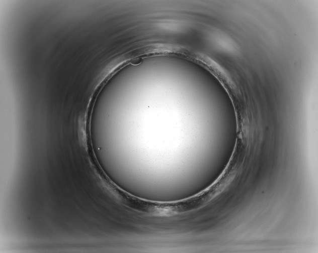 X0000098120794200804111114