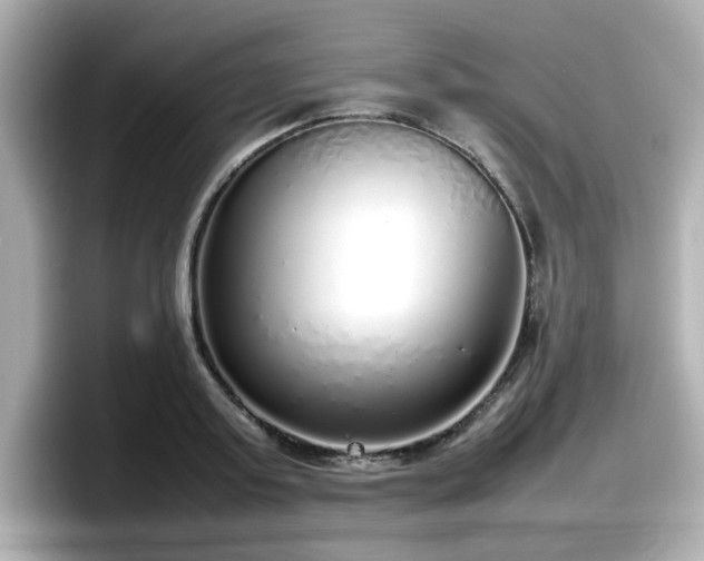 X0000098120795200804111114