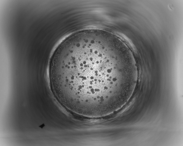 X0000098120796200804111114
