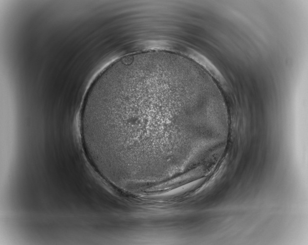 X0000098120798200804111114